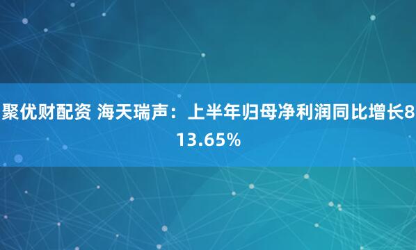 聚优财配资 海天瑞声：上半年归母净利润同比增长813.65%